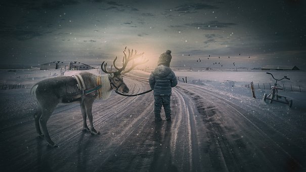 kid with reindeer