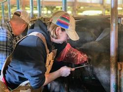 17 Earned Artificial Insemination Certification