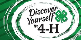 4-H Banner