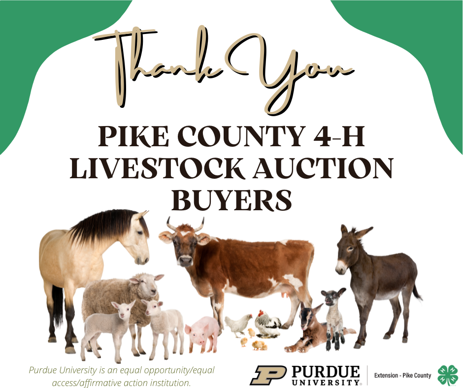 thank you livestock auction buyers image