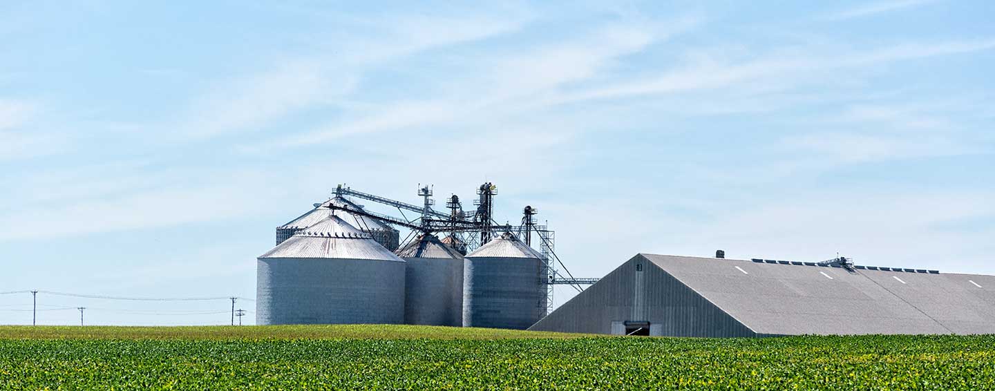 Keeping Your Grain Safe in Fluctuating Temperatures