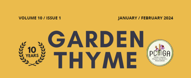 Garden Thyme 10 Years