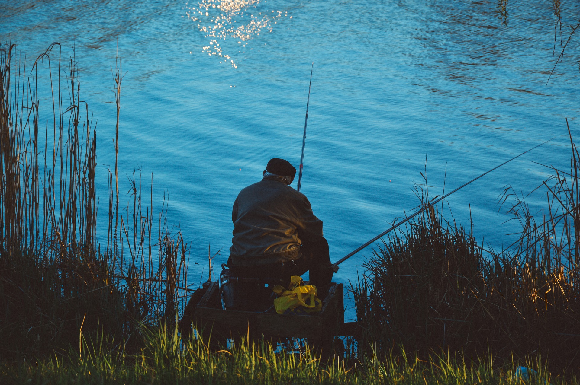 Individual fishing in a pond 