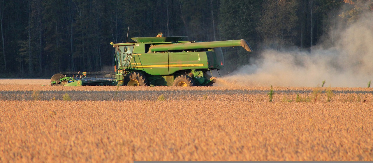 soybeans being harvested