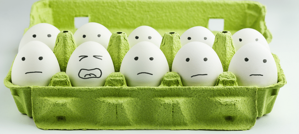 stressed eggs photo