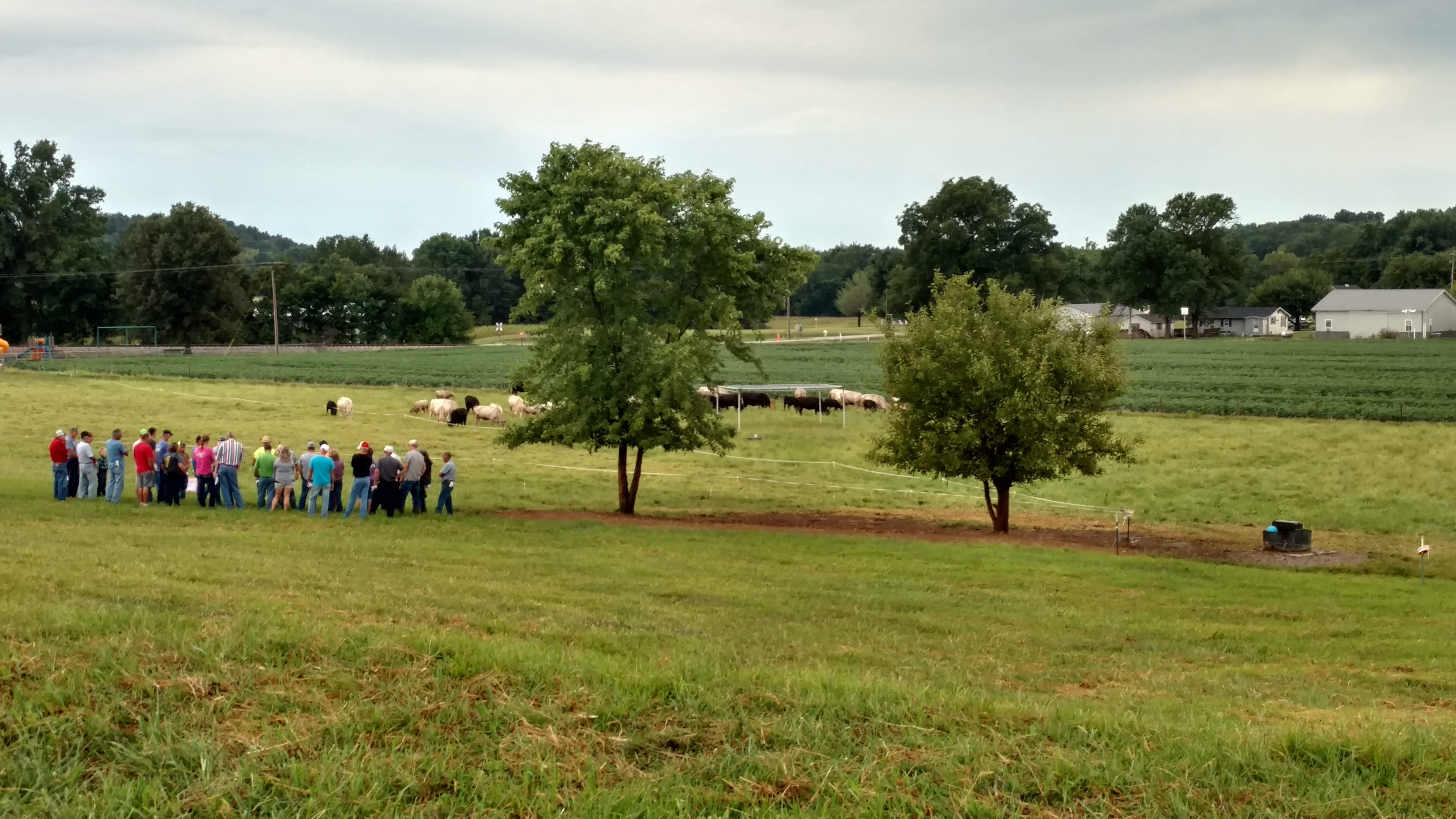 Livestock producers take part in a previous Greener Pastures Field Day