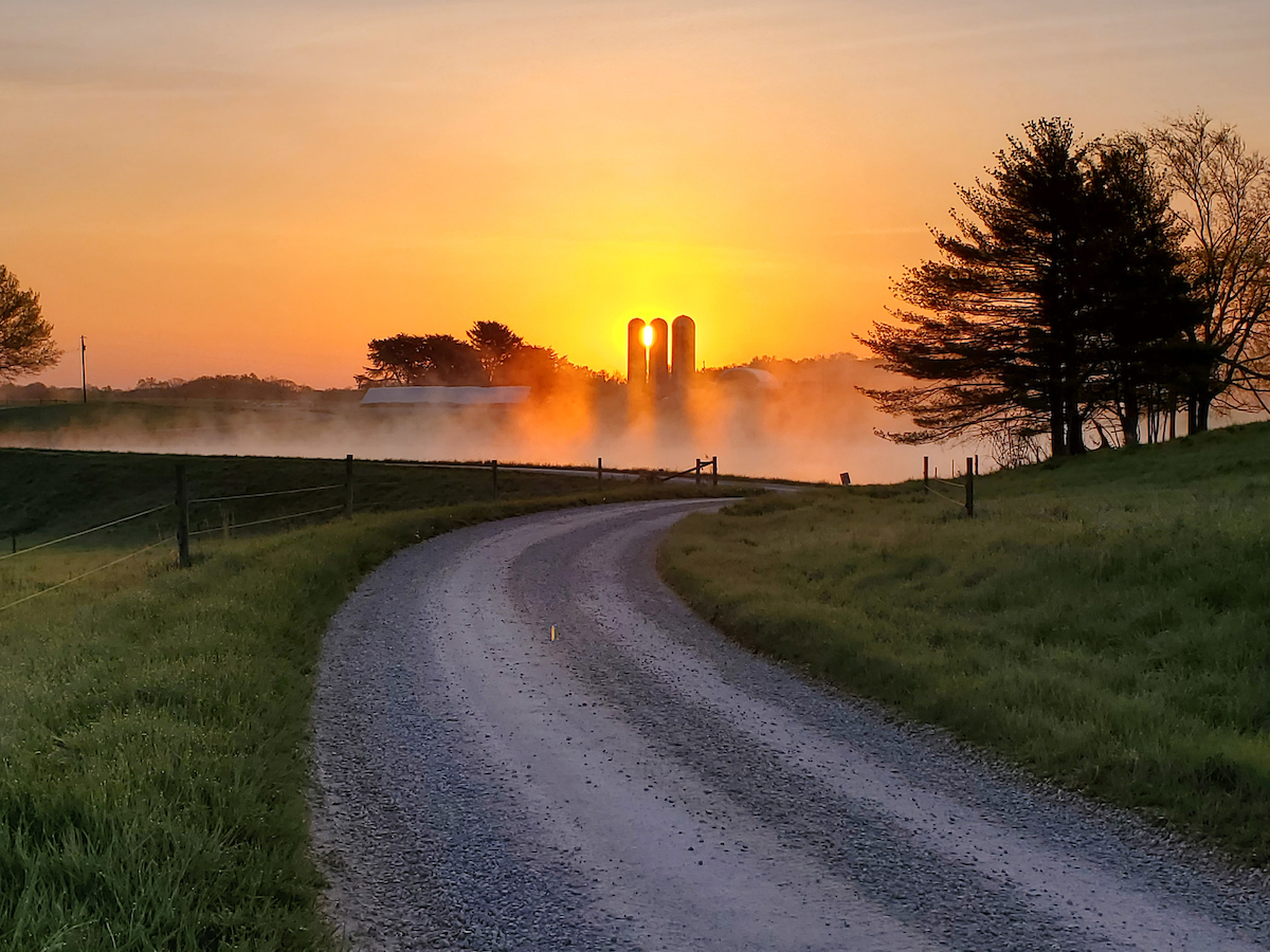 Farm lane heading towards barn with sunrise in the background