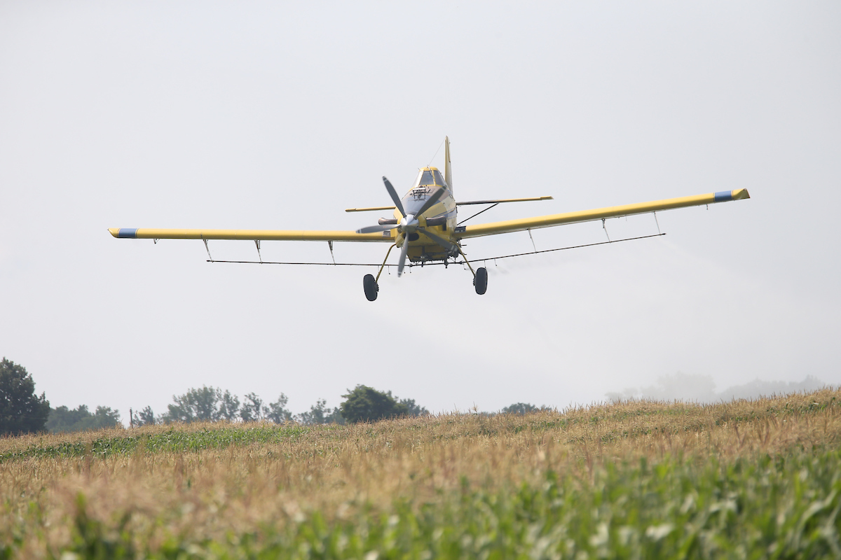 Aerial applicator flies over corn field
