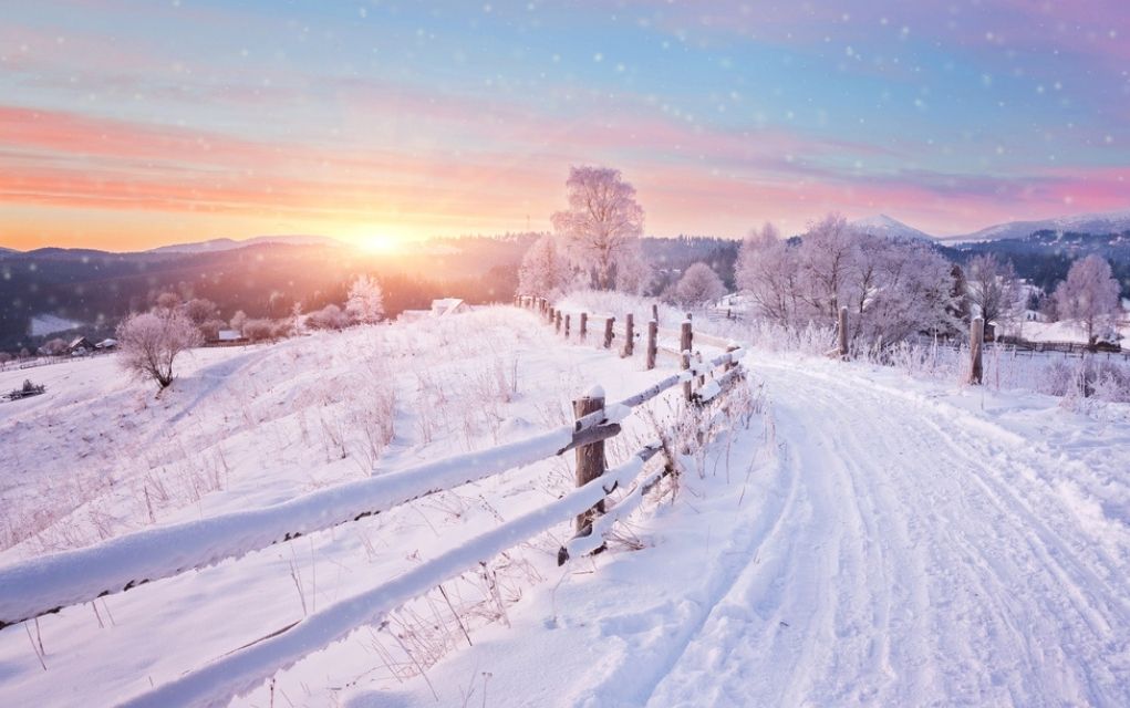 Winter Newsletter 2026 Banner Image