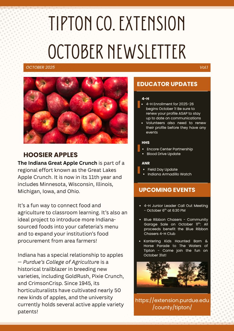 newsletter thumbnail