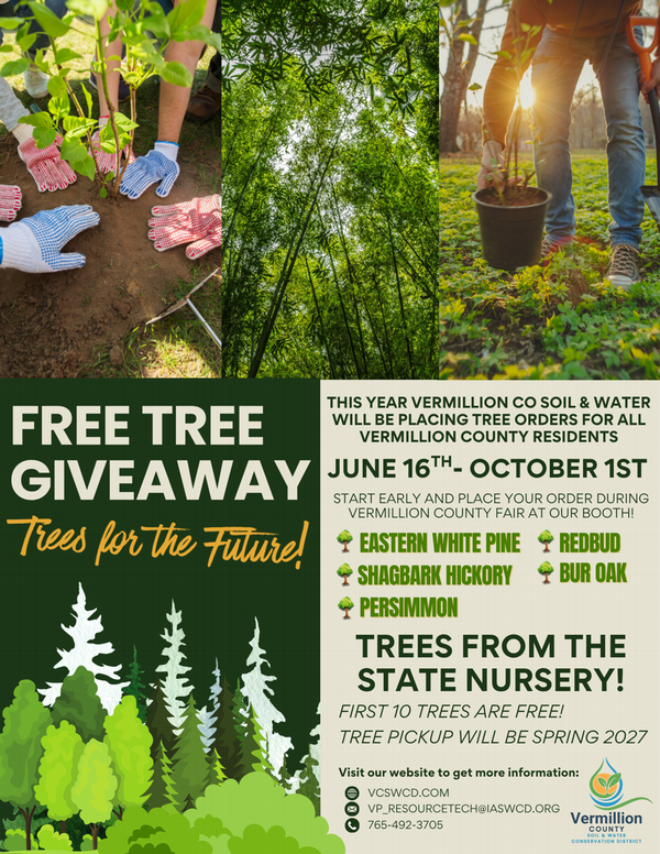 tree giveaway