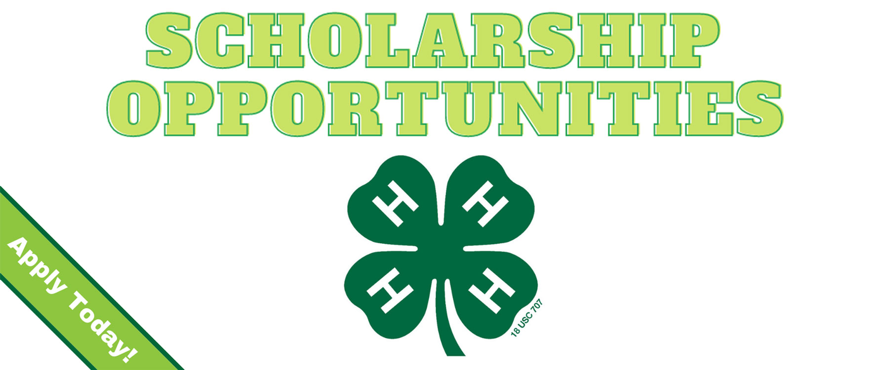 4-H Scholarship banner