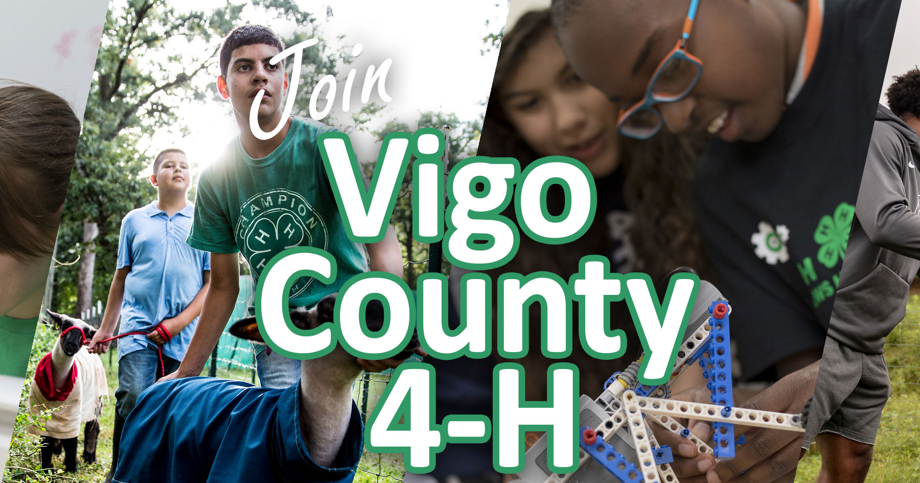 Vigo 4-H Newsletter head