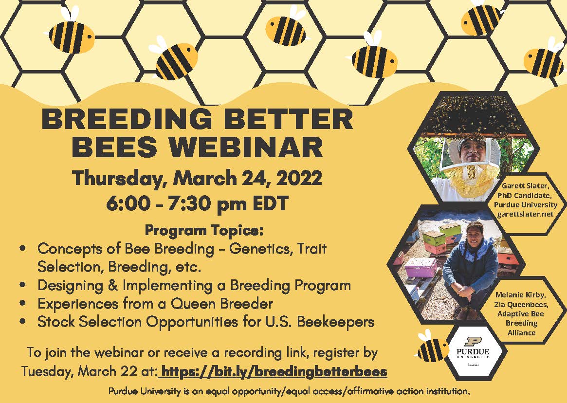 breeding-better-bees-flyer-2022.jpg