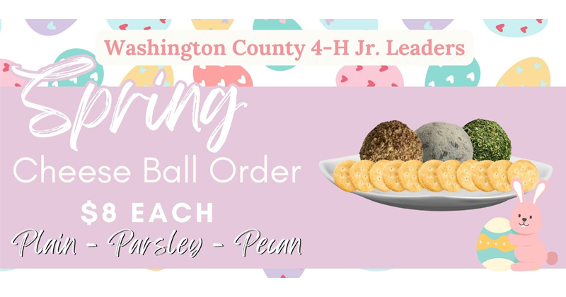 Washington county jr. leaders spring cheese balls