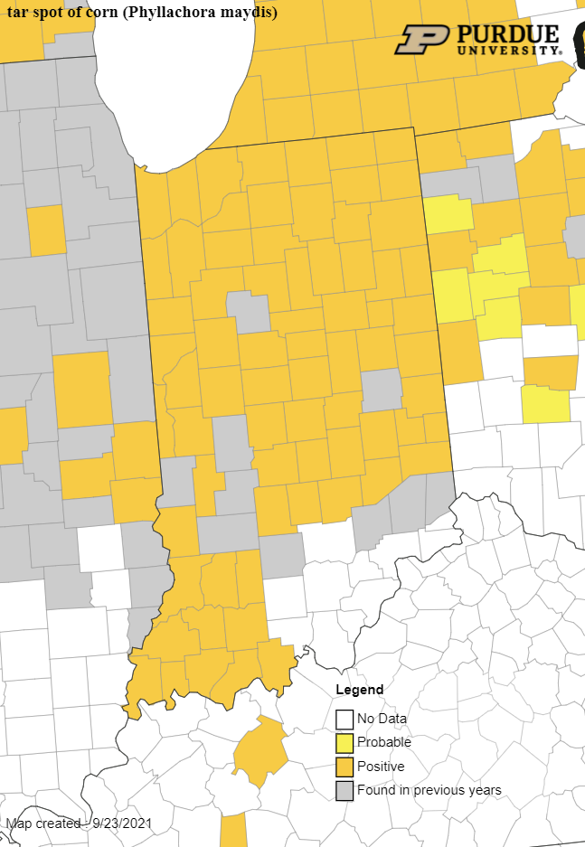 Counties with tar spot as of 9-23-21; Image from Purdue Extension Field Crops Pathology website
