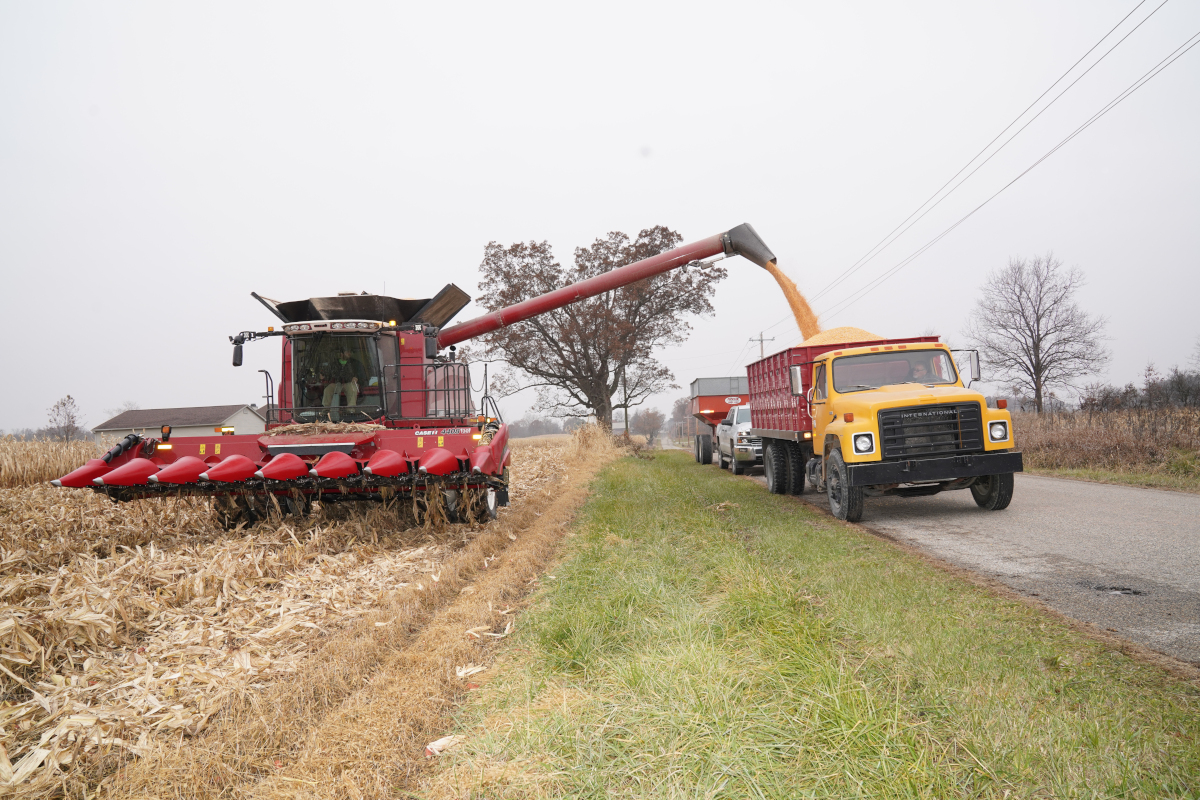 combine fills nearby truck bed with corn