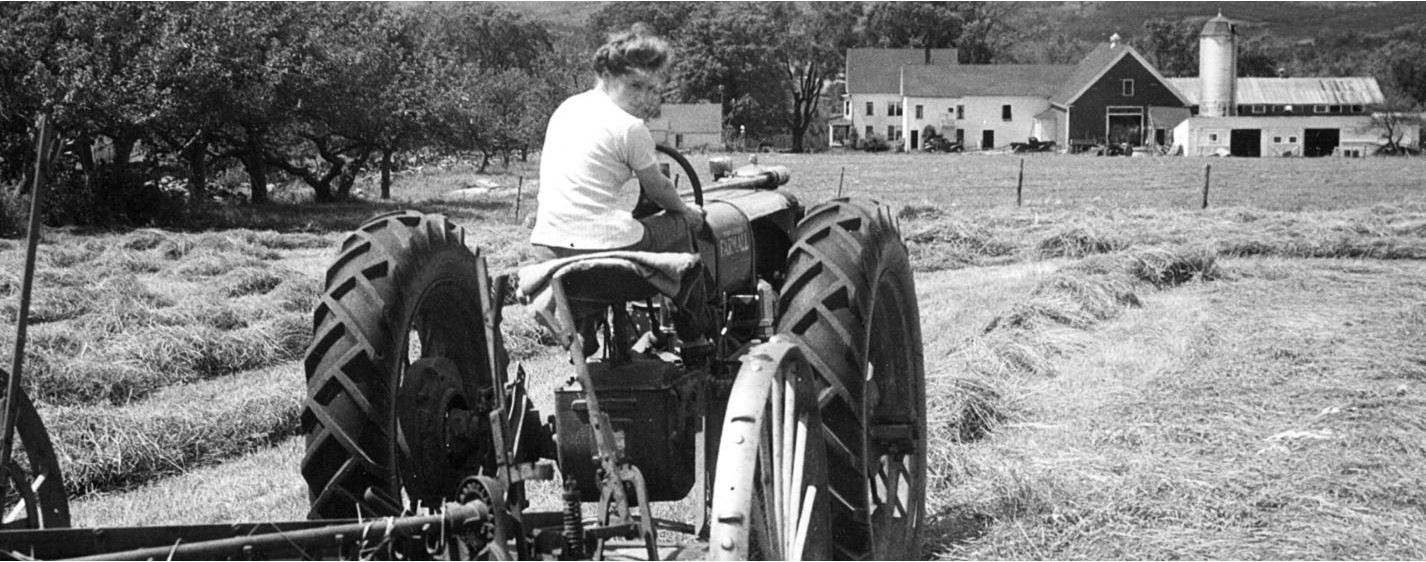 historical woman raking hay