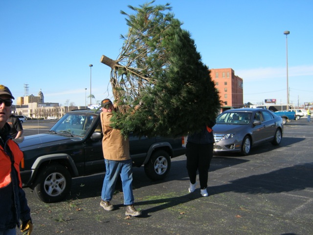 Christmas tree brought for recycling