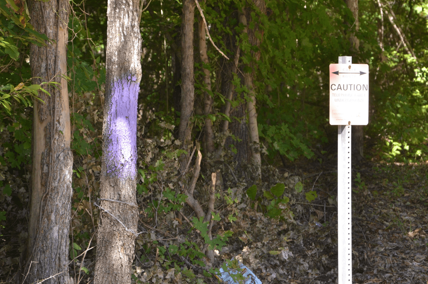 If You See Purple Paint, Keep Out