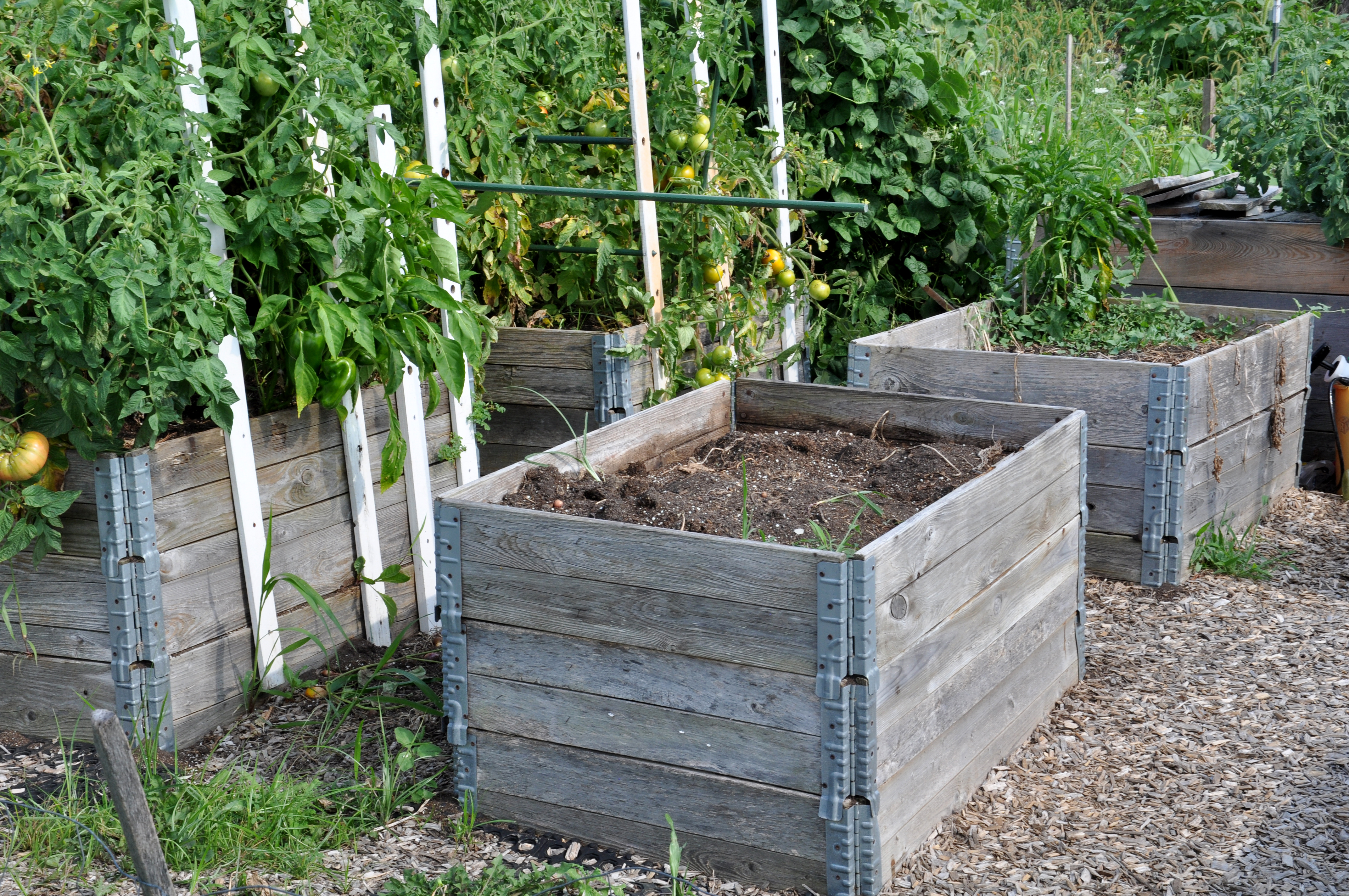 Gardening in Containers and Raised Beds
