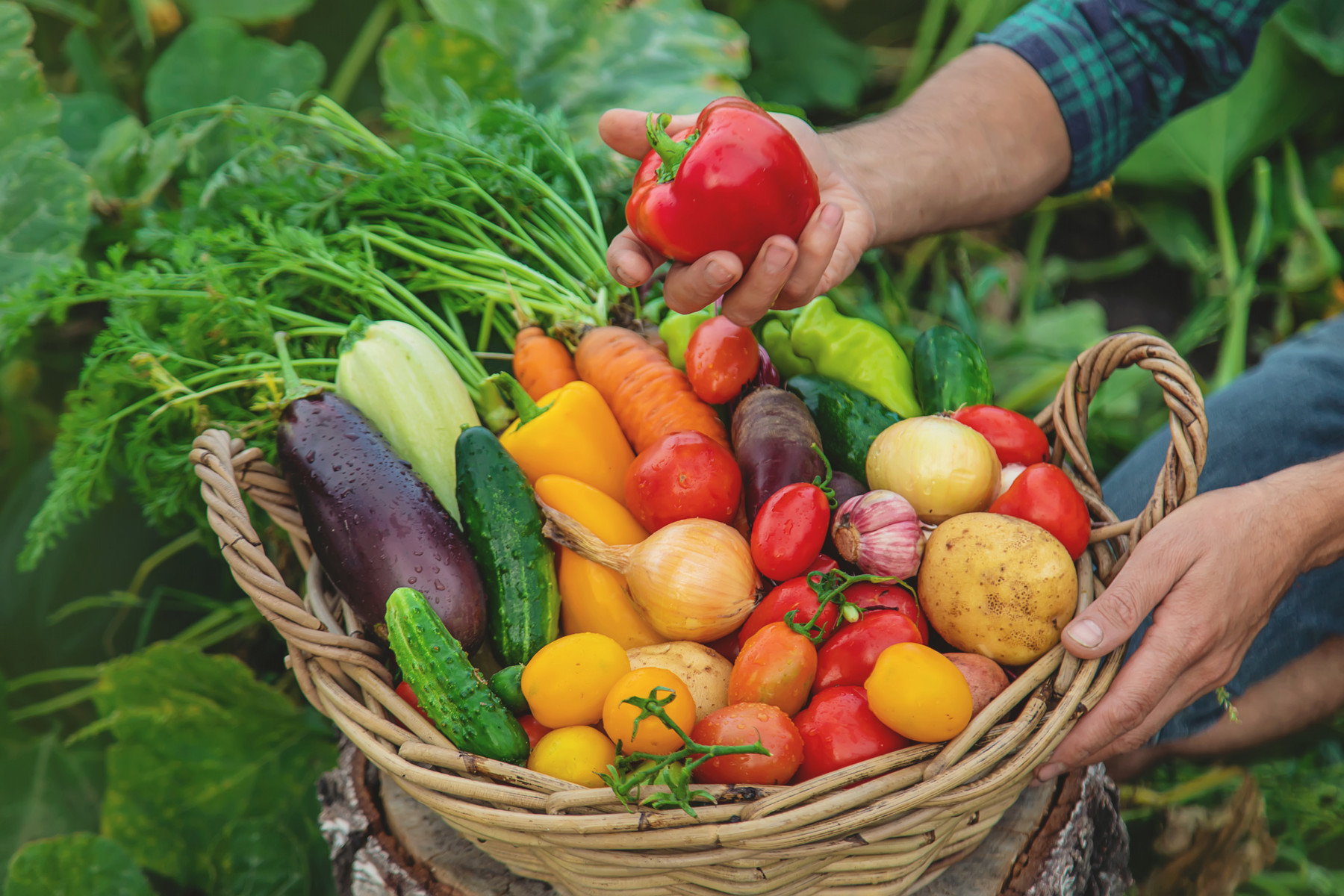 vegetables