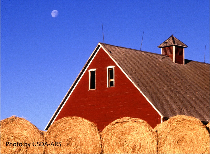 Image of a red barn with bales of hay at the bottom