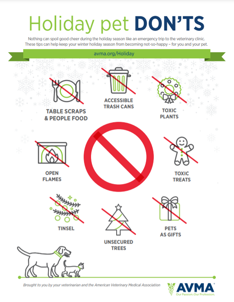 Image with graphic images of object that shouldn't be accessible to be reach by pets during holiday season