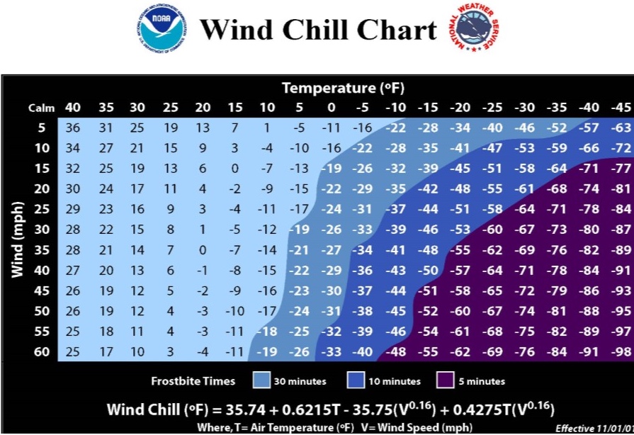Image of a graph od wind chill factors for beef cattle