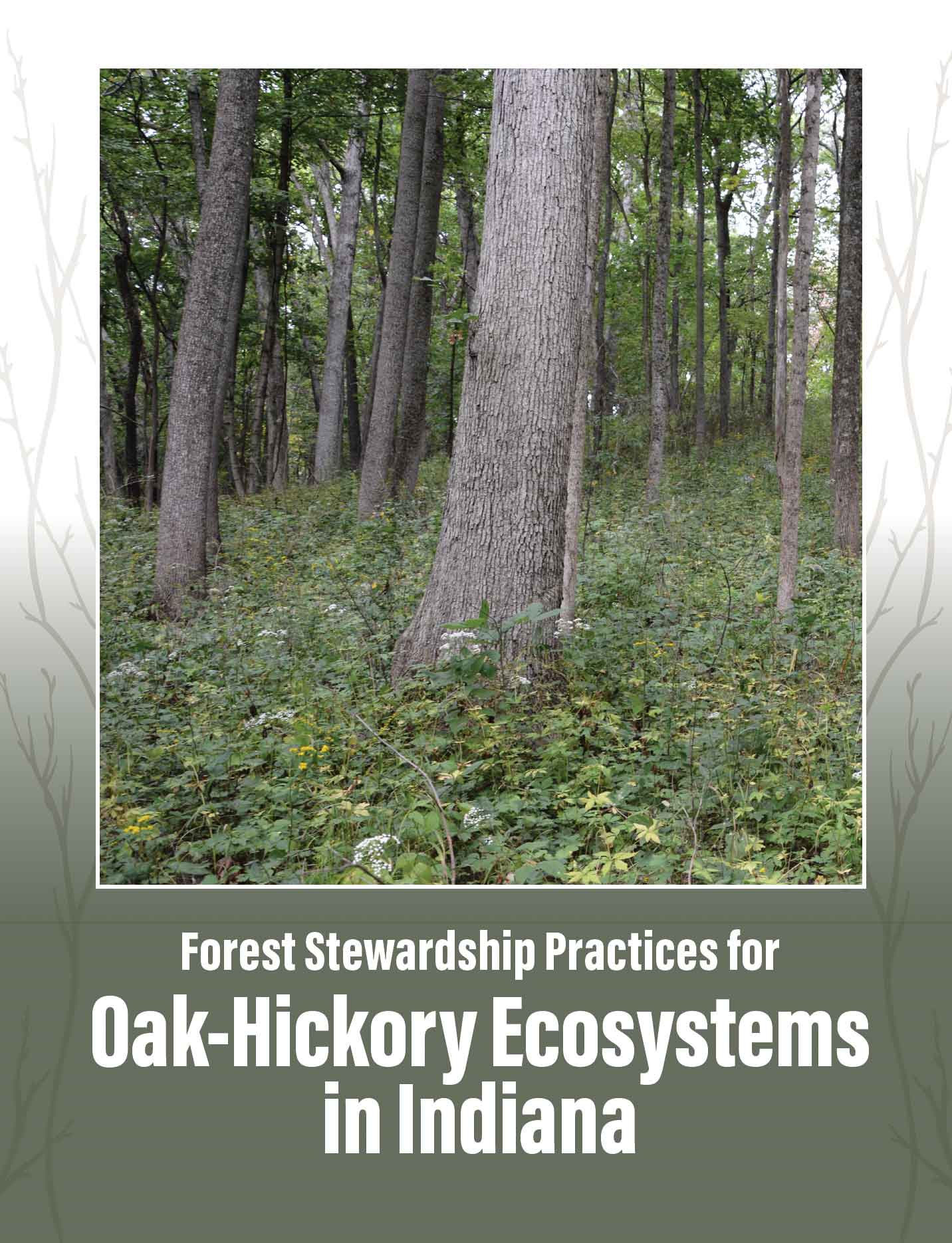 Cover for Oak-Hickory Ecosystem Publication