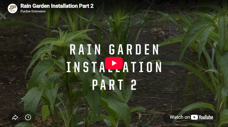 Rain Garden Installation Part 2 screenshot
