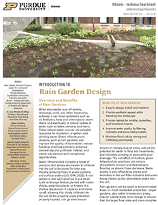 rain-garden-intro-design-id-533-w.png