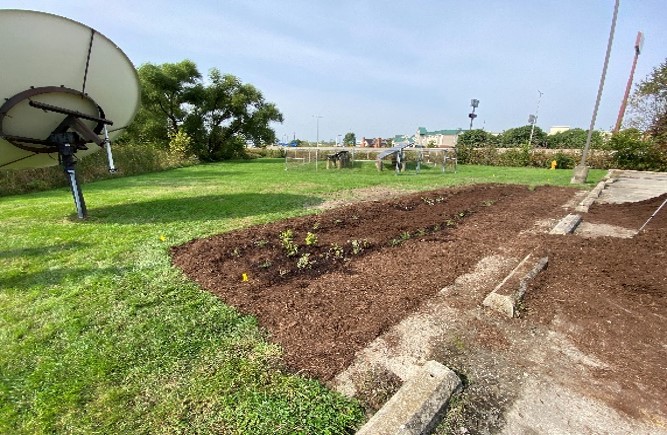 effingham-raingarden