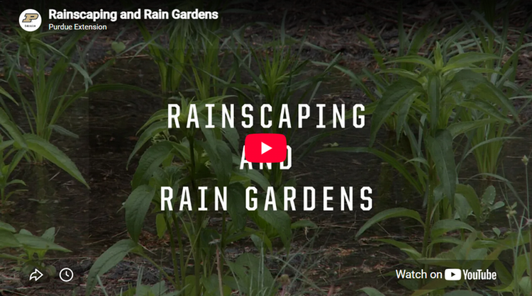 Rainscaping and rain gardens screenshot