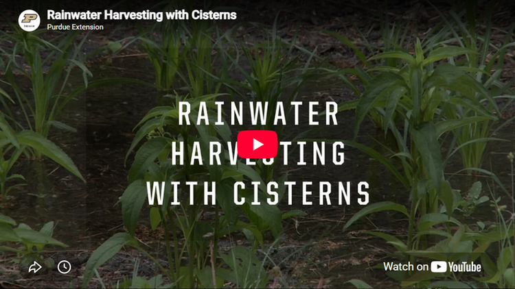 rainwater harvesting with cisterns screenshot