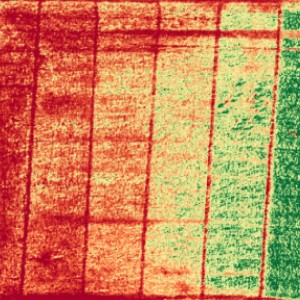 multicolor image of cattle grazing patterns in a field