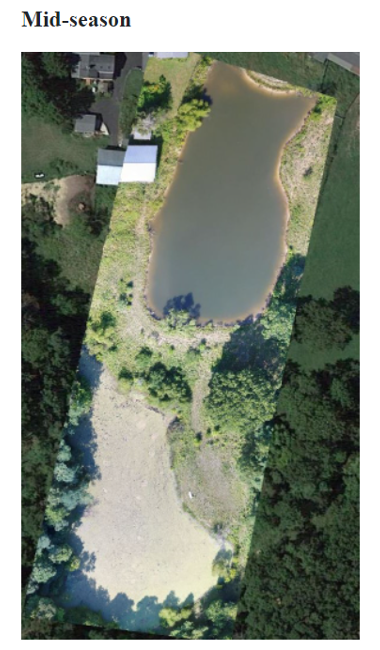 overhead drone image of mid season tilapia fish pond with no algae 
