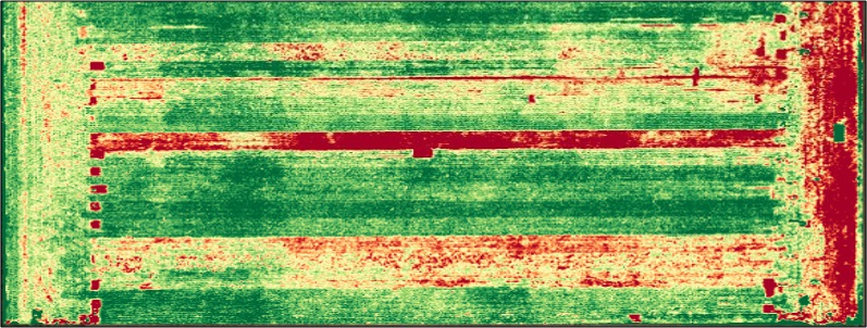 Image of a cornfield from high above, a red streak in the middle indicates problems with certain hybrid.