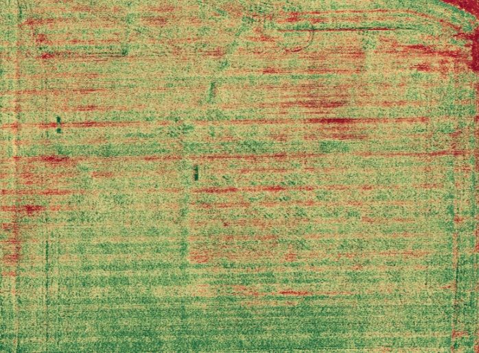 Image of a cornfield with a  combination of NIR light and a frequency band called Red Edge