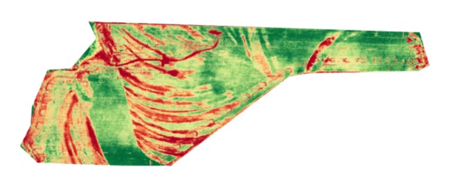 Image of Plant Health Analysis shows how the different topographical features are impacting the developing crop