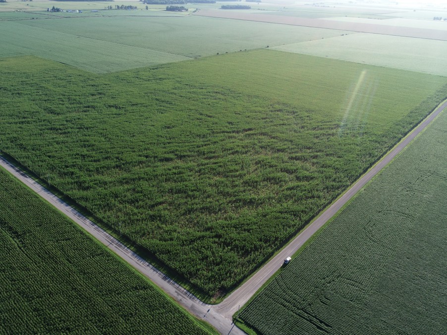 Image of crops from above 