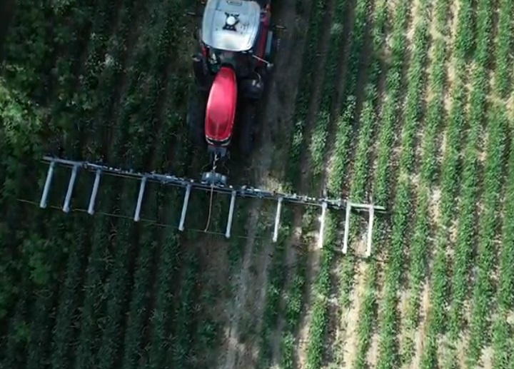 Image of a tractor passing through a cornfield