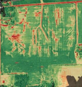 Image of NDVI (crop health) maps of the field