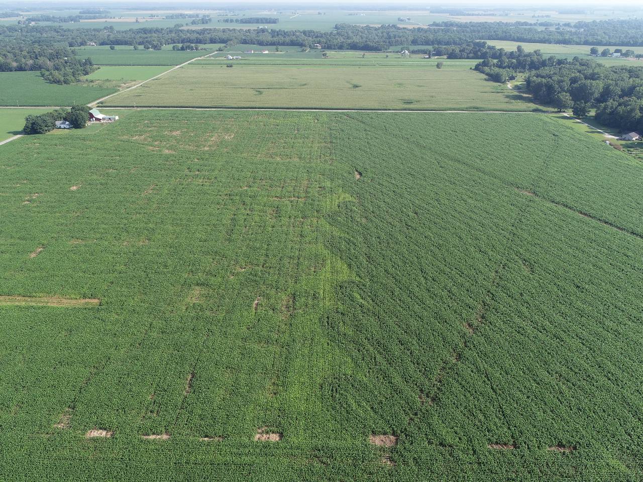 Image of a farm and crops from up-high