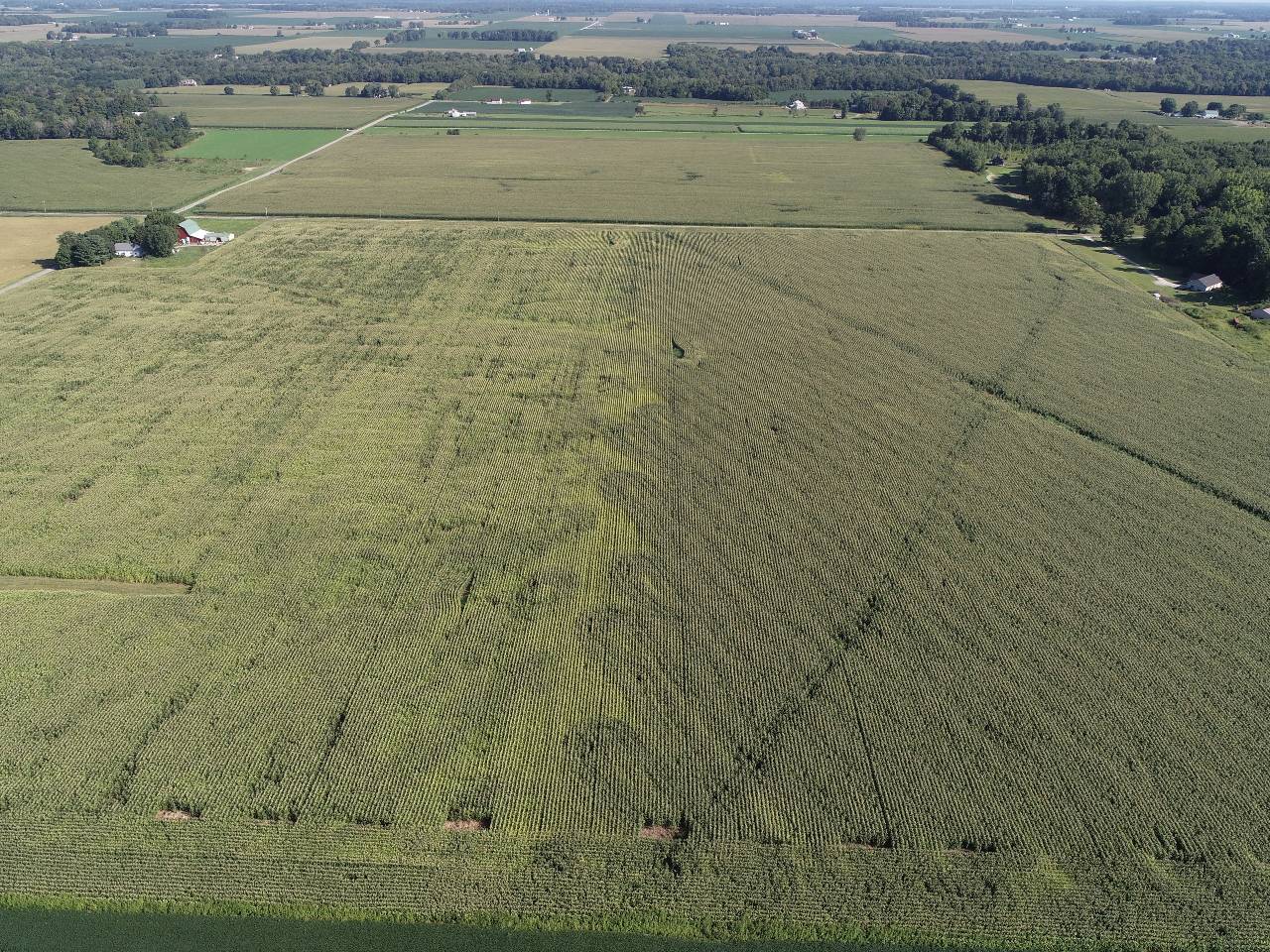 Image of farms and crops (from up high)