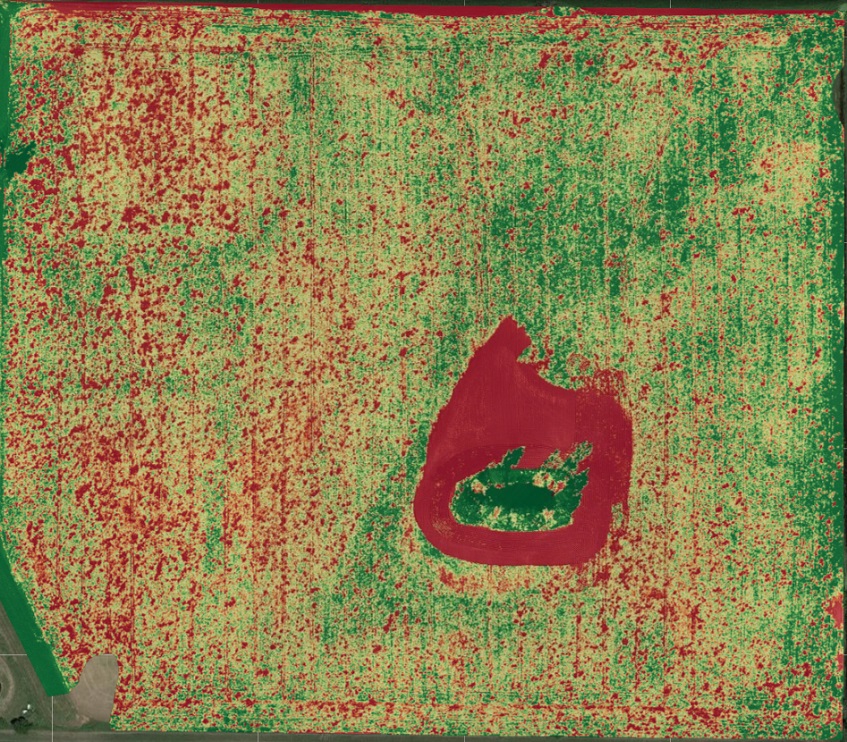Image of disease evident in the VARI map 