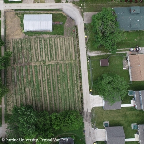 Image of a urban vegetable farm, view from the top