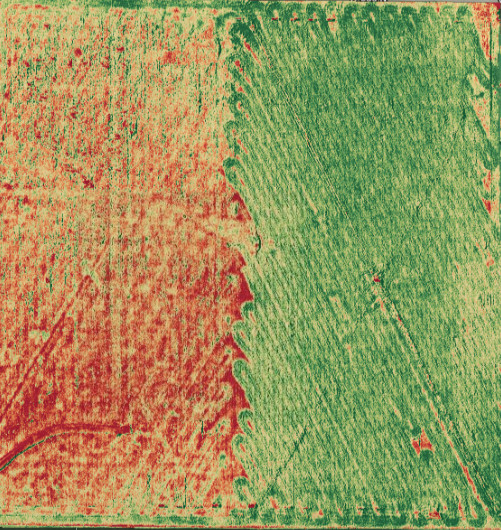The image uses Normalized Difference Vegetation Index (NDVI)