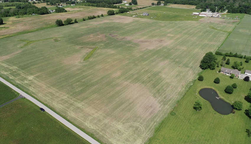Image of Cereal rye crops from up high