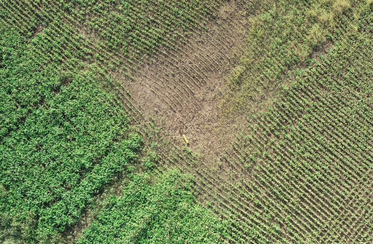 Image of a green cover plot during the season, image from up high 